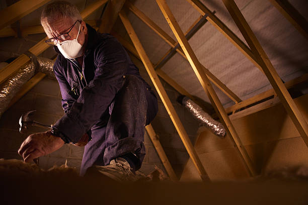 Best Insulation Materials and Products in Paramount, CA